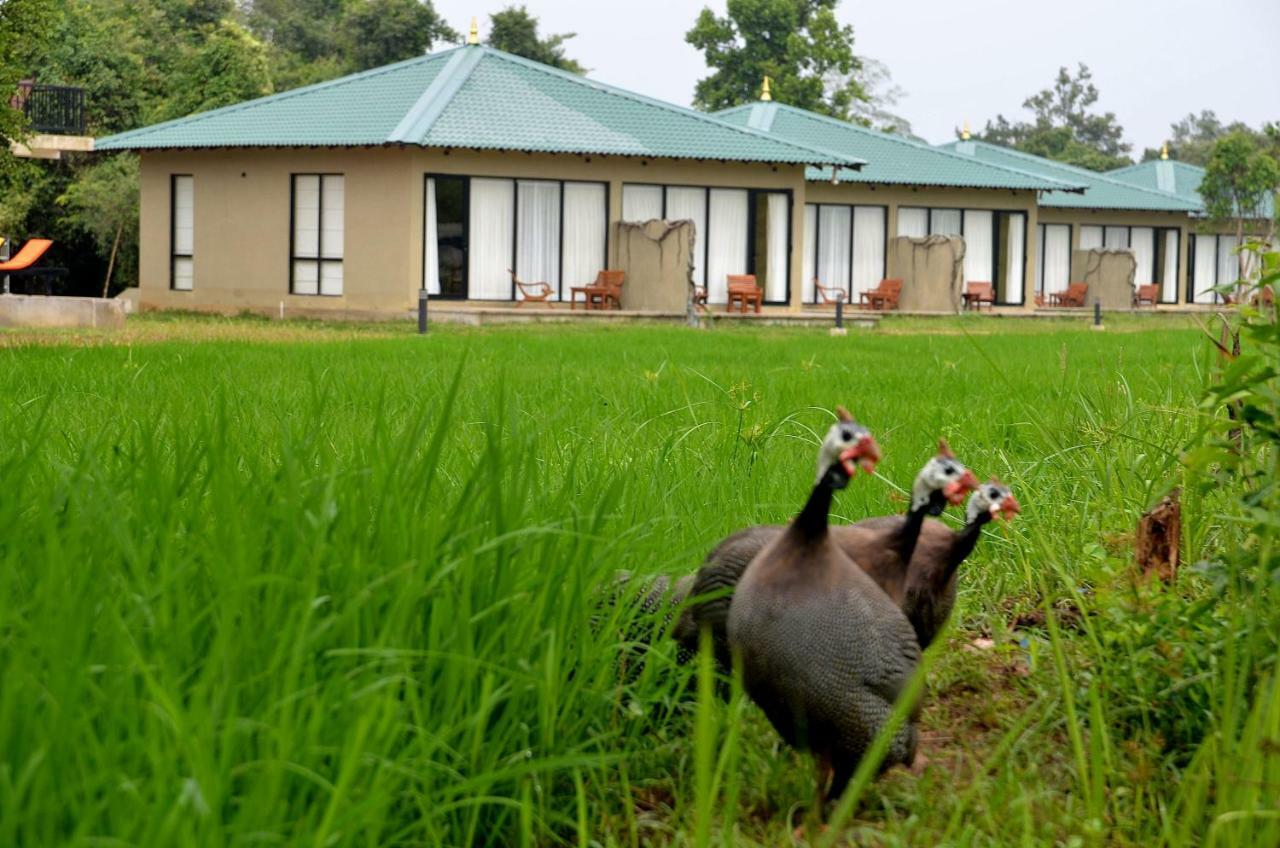 Sigiriya King'S Resort Exterior photo